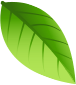 shape-img