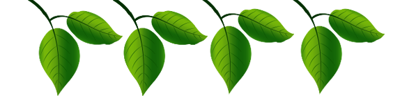 shape-img